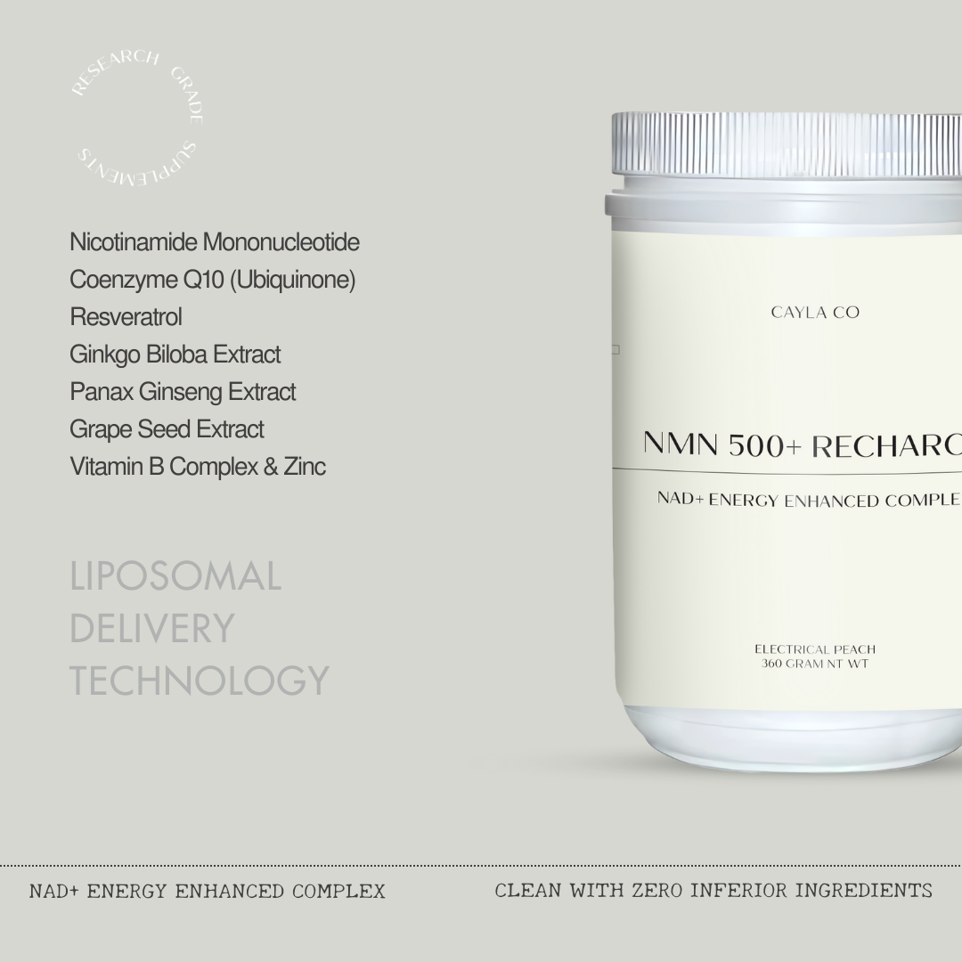 CAYLA NMN 500+ Recharge